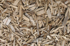 biomass boilers Kinfauns